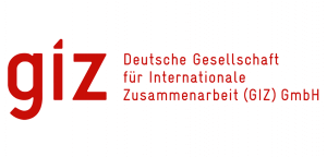 GIZ Logo